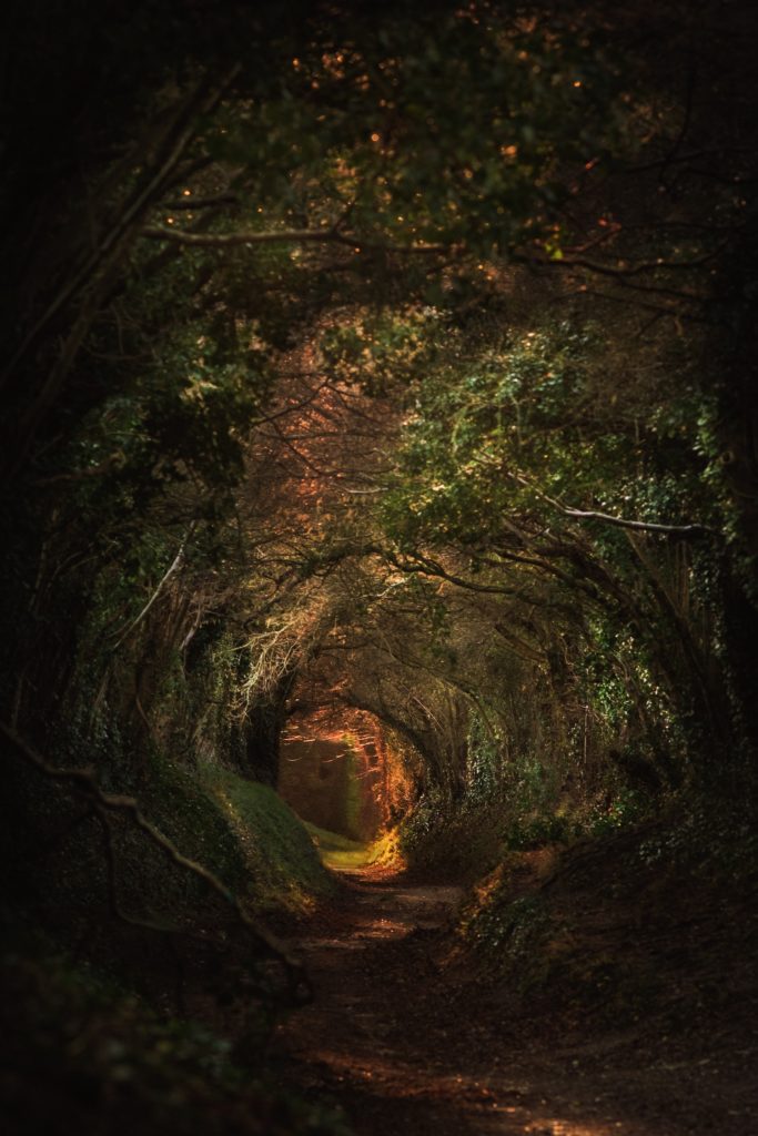 Reclaiming our fantasy life (Part 2)